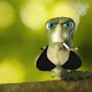 Meet your Posher, Scarlett